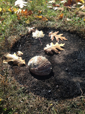 a shell/fossil/relic at the site of our ceremonial fire a few days later 