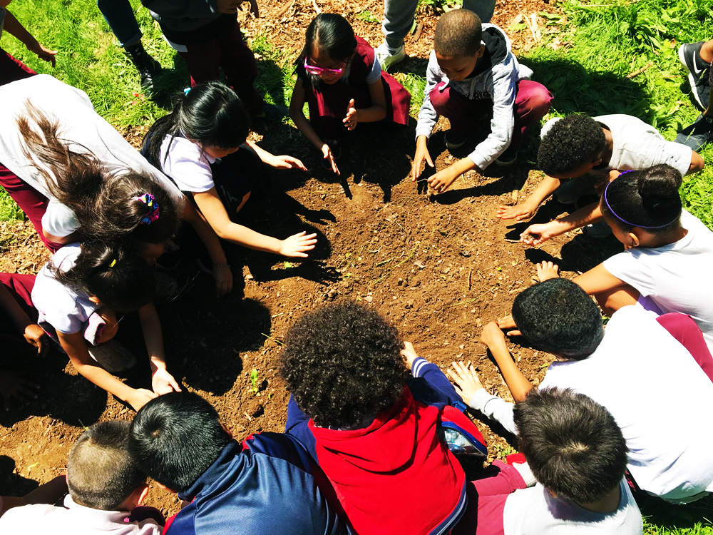  outdoor learning 
